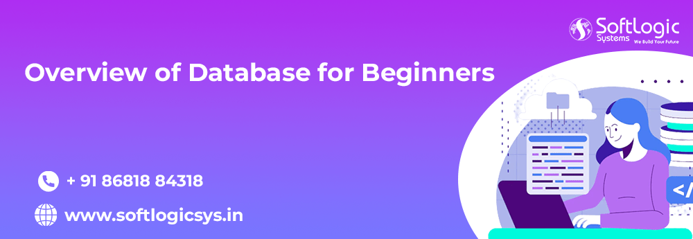 Overview of Database for Beginners