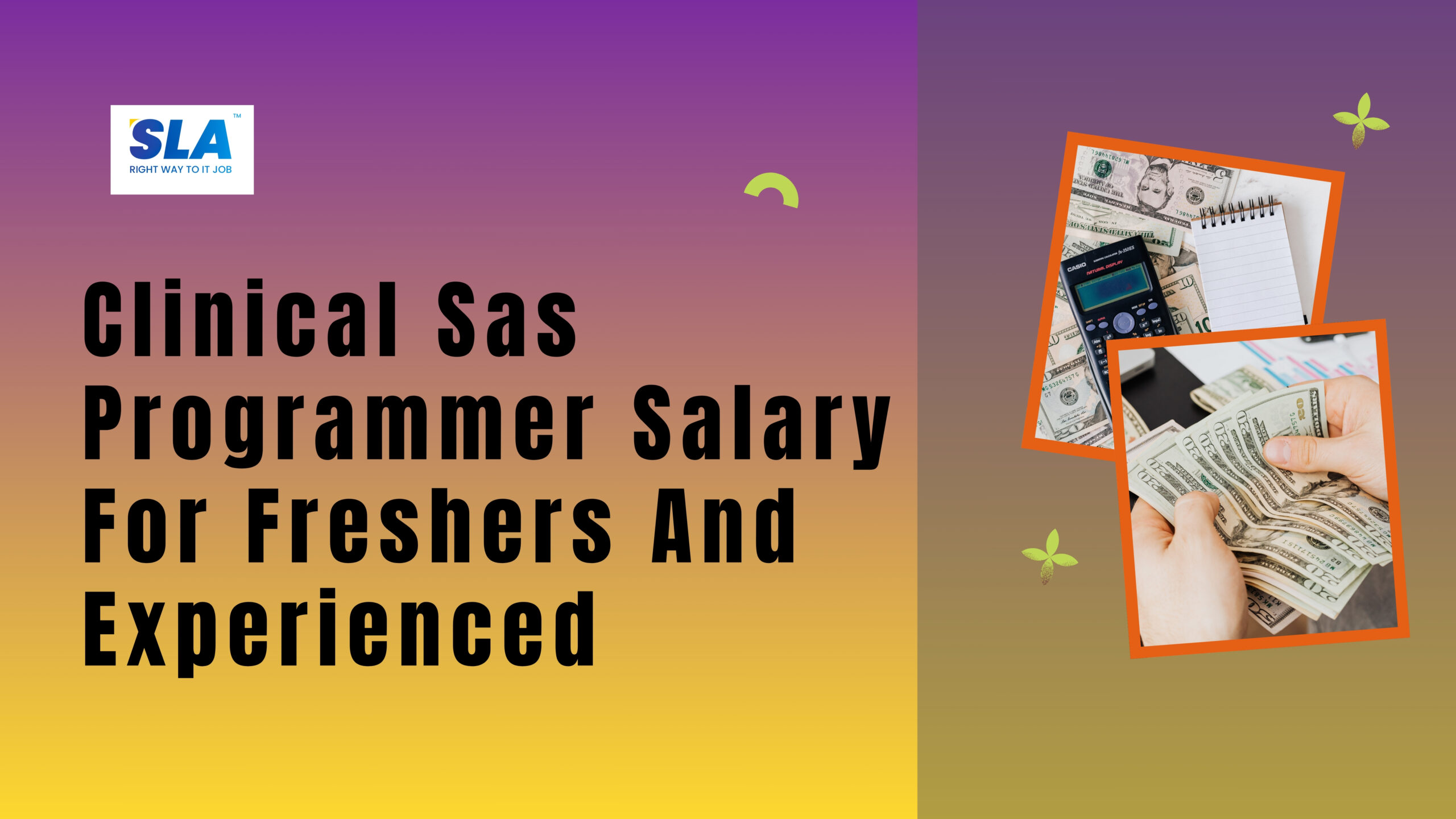 Clinical Sas Programmer Salary For Freshers And Experienced- Softlogic Systems