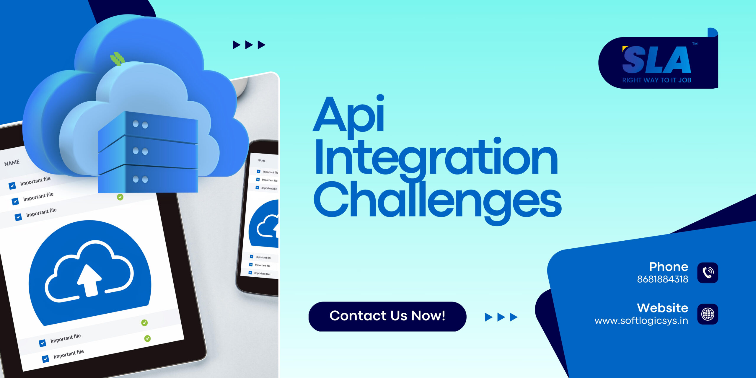 Api Integration Challenges - Softlogic Systems.