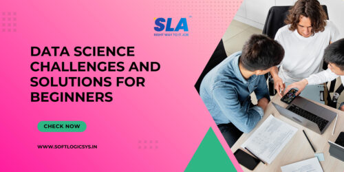 Data Science Challenges And Solutions For Beginners - Solve Now