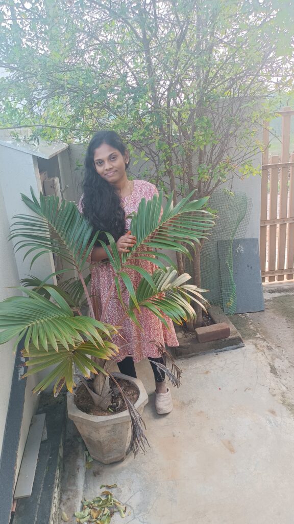 Dhana Nandhini Softlogic Systems